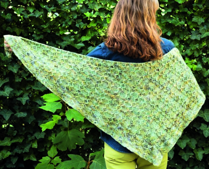 Prospect Park Shawl in Malabrigo Worsted - Downloadable PDF