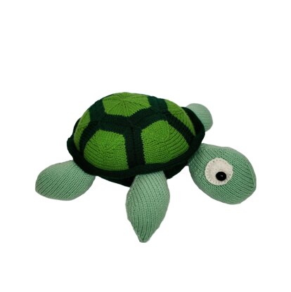 Squishy Turtle Toy