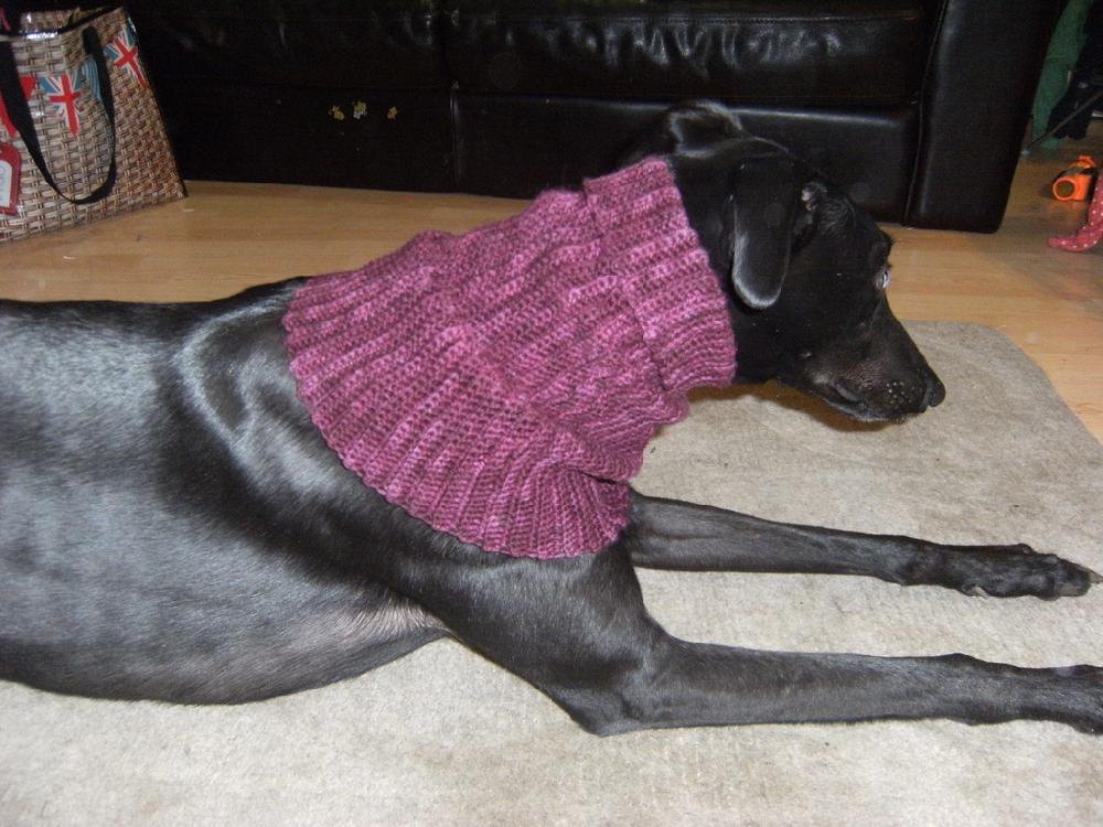 Greyhound snood outlet australia