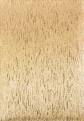 Tonic Studios Craft Perfect Luxury Embossed Cardstock A4 5/Pkg - Golden Satin