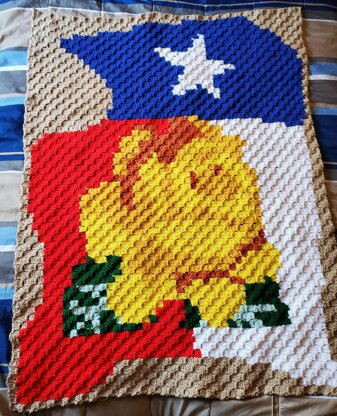 Texas flag C2C