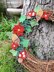 Woodland Wreath