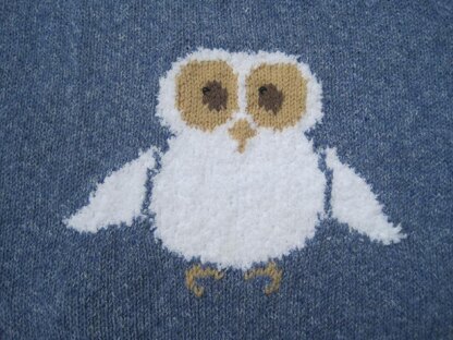 Oliver Owl - Child's Sweater