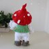 Old fly agaric man