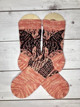 Dragonflight Socks