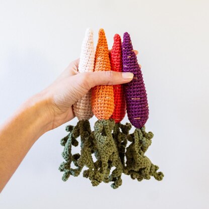 Whimsical Carrots