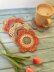 Cottagecore Coasters