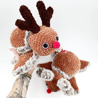 Turtle Reindeer