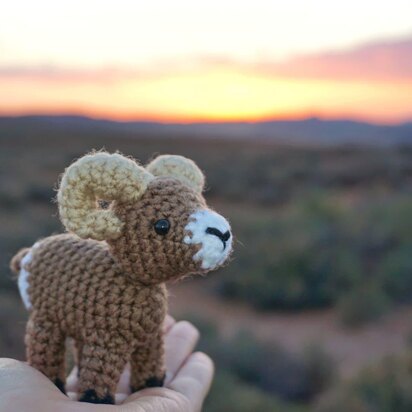 Bobby the Bighorn Sheep