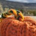 Little Knit Pumpkin Knitting Pattern