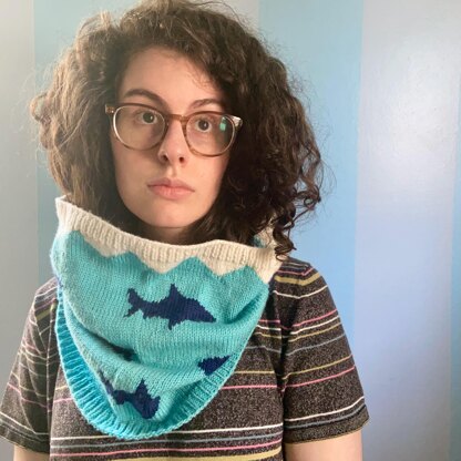 Sharkney Cowl