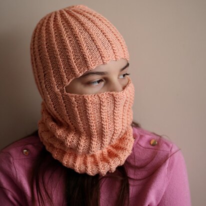 Winter Ski Mask