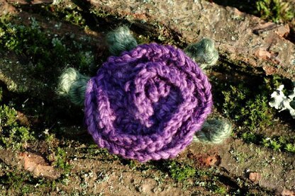 Cabbage Rose Brooch