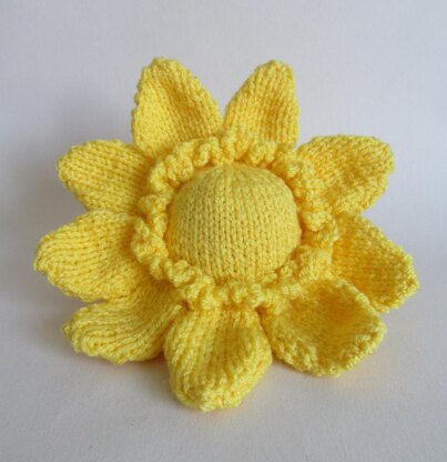 Sunshine Flower Chocolate Orange Cover