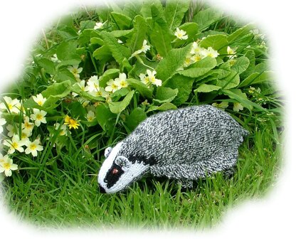 BADGER by Georgina Manvell