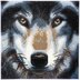 Crystal Art Wolf, 30x30cm  Diamond Painting Kit