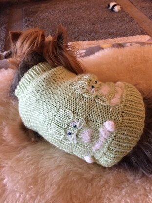 Baby bunny dog sweater