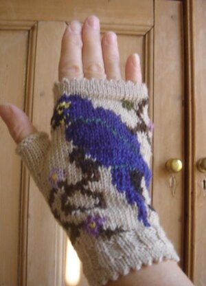 Blue Macaw in the Flowers fingerless mitts