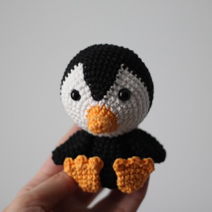 Little penguin