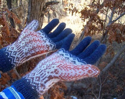 Dog Show Gloves