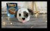 Puppy Dog Chocolate Orange Cover Knitting Pattern