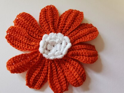 Gerbera Daisy Flower pattern