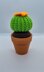 Love Cacti