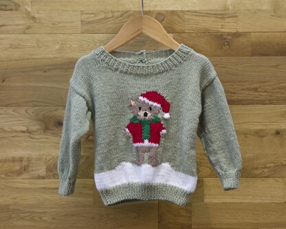P181 Freddy the Teddy Bear Jumper