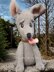 Wally Whippet