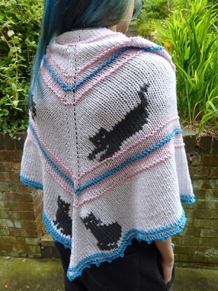 Cat Shawl