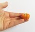 Teeny Tiny Pumpkin