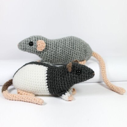 Fancy rats