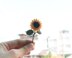 Mini sunflower with stem