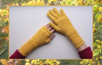 Birnam Gloves and Fingerless Mitts