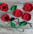 Simple Poppy Pattern