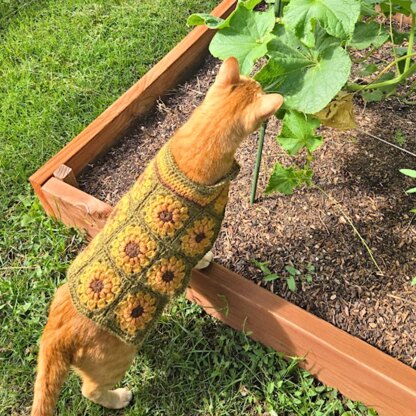 Sunflower Pet Sweater
