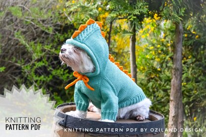 Dragon dog hoodie