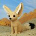 Fennec fox