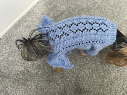 Blue Knitted Dress for Dogs