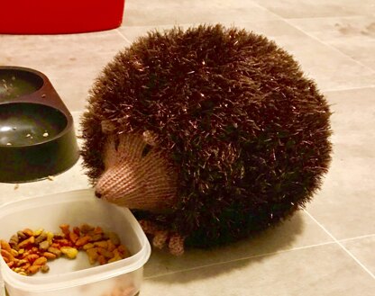 Hedgehog for a newborn gift