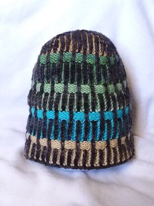 Shanes earthy palette Rainbrioche beanie