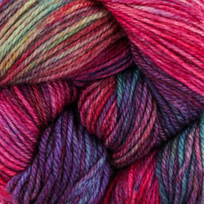 Malabrigo Finito 555 Quinteto Set of 5 Full Size Skeins – Wool and Company