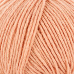 Apricot (20)