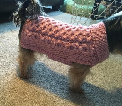 Hugs and Kisses Dog Sweater