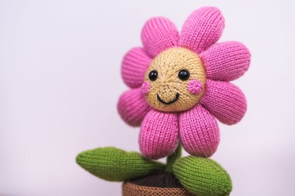 Flower in a Pot in Deramores Studio DK  - Downloadable PDF