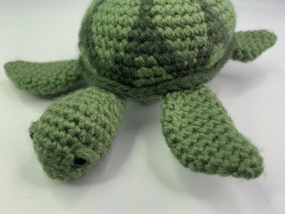 Myrtle the Turtle