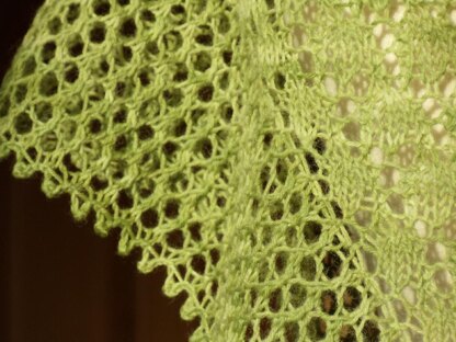 Lili Wen Fach - Snowdrop Shawl