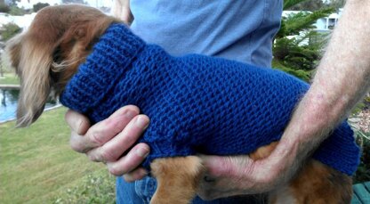 Ripple Stitch Miniature Dachshund Sweater