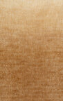 Rare Wood (34205B)