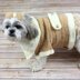 Dog Coat Crochet Pattern #179